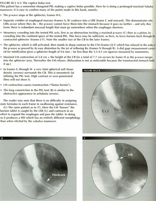 Click for larger image